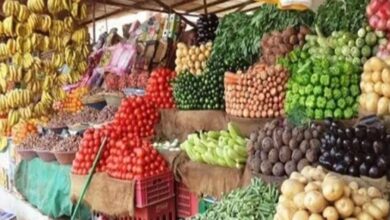 أسعار الخضروات اليوم سوق العبور - بوابة العرب