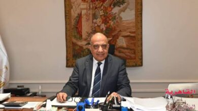 محمود عصمت، وزير الكهرباء